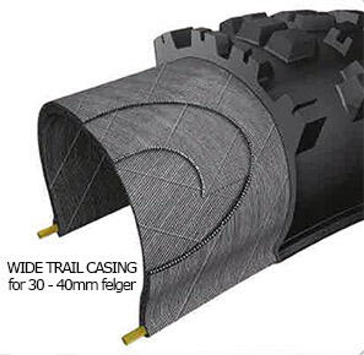 Maxxis Minion DHF 24
