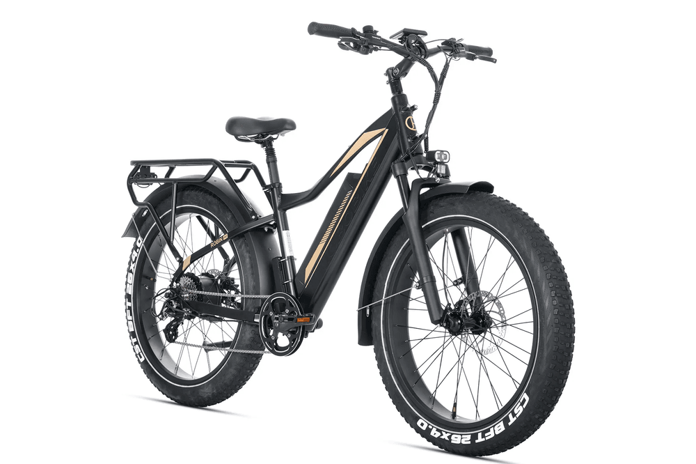 JOBOBIKE Robin PRO elsykkel fatbike 250W - 180km