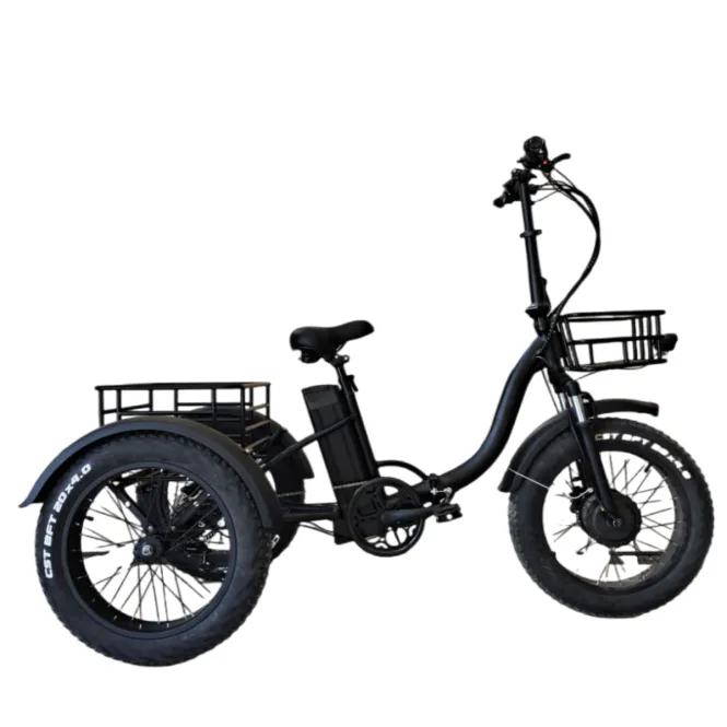 Hovedbilde Elektrisk fatbike med 3 hjul 500W - TRC04 - ...