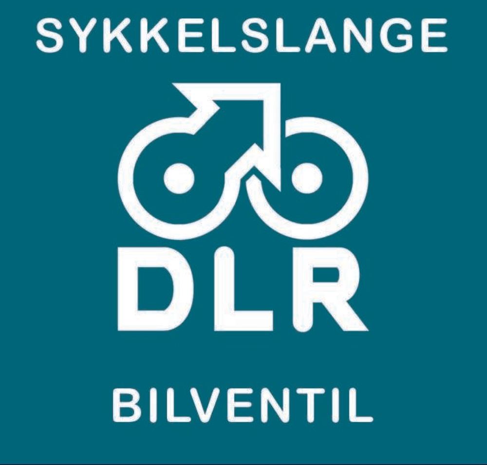 DLR Bil 20