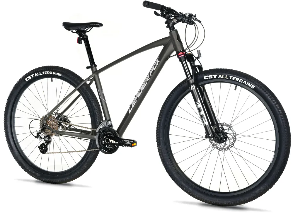  Leader Fox EVOLUTION 29